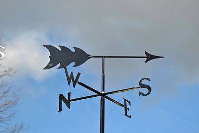 Arrow p and s weather vane